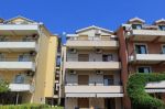 APARTMENTS BILIJANA BELUX
