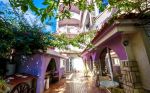 APARTMENTS GUEST HOUSE VIOLET